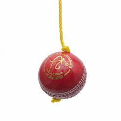 APG Leather Hanging Cricket Ball (Red) - Standard - Practice